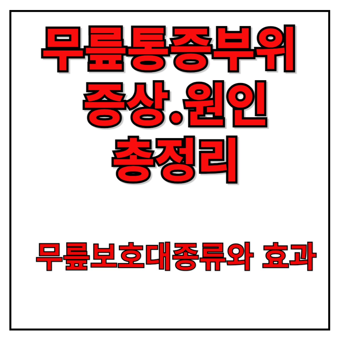 무릎통증부위증상과 원인을 설명하는 이미지