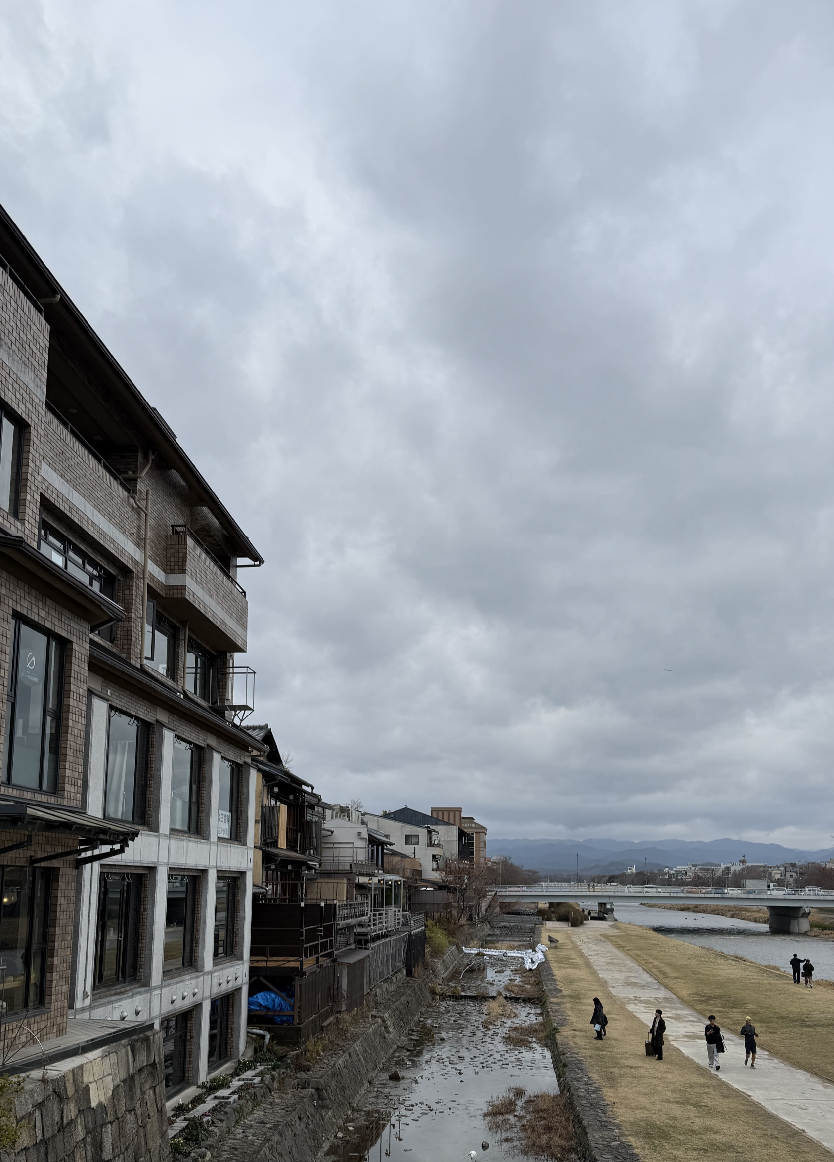 교토 봄여행 일본 스타벅스 가모강