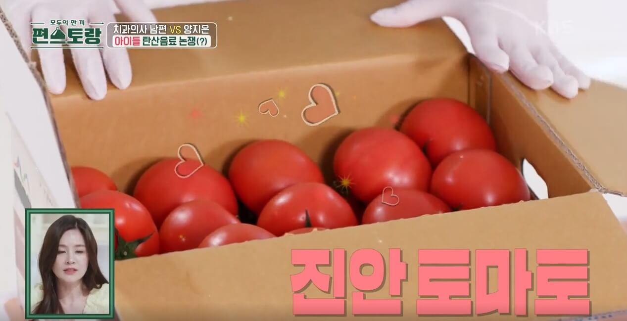 진안토마토