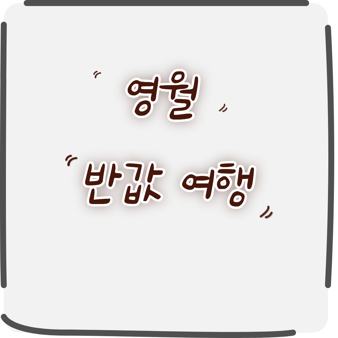 영월 반값여행