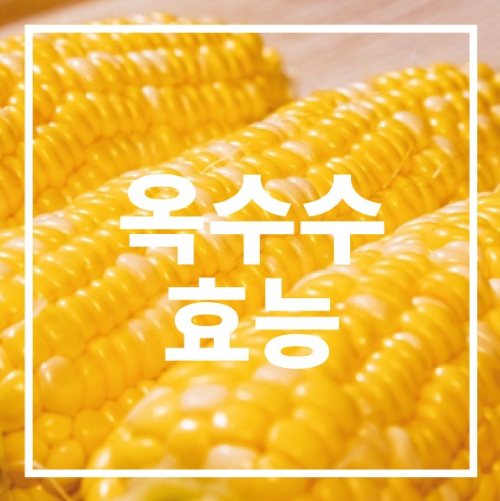 옥수수 효능