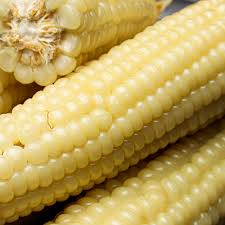 옥수수 맛있게 삶는 방법