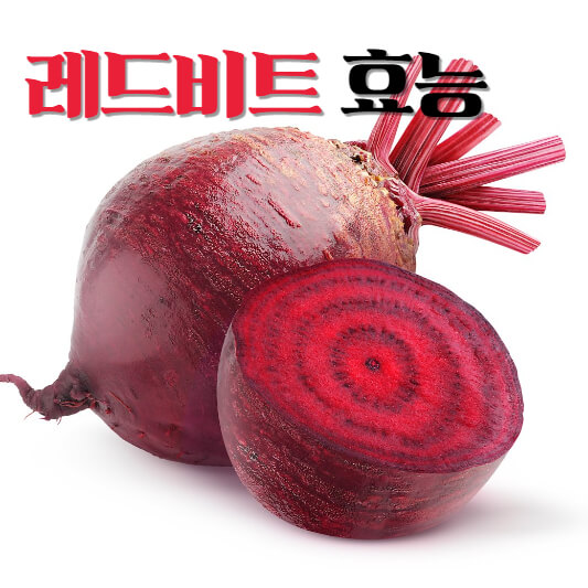 레드비트