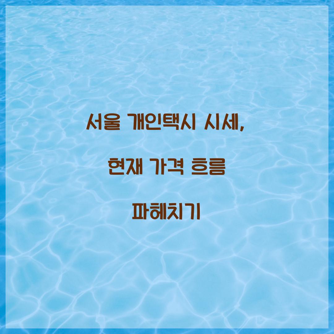 서울 개인택시 시세