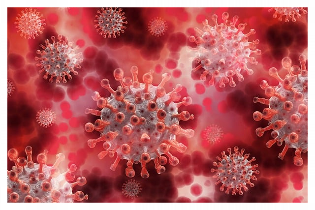 무료 대상이 아닌사람