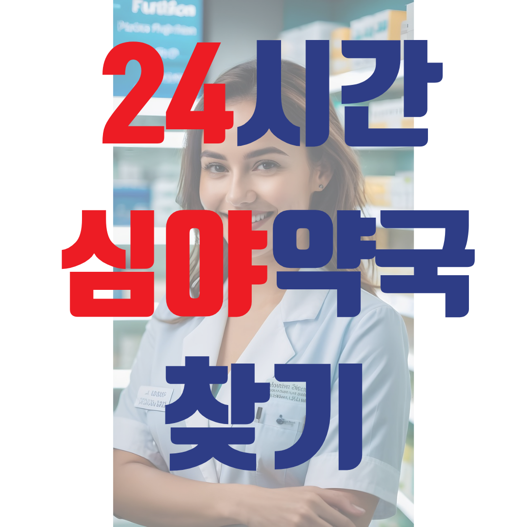 서울 24시간 공공심야 약국