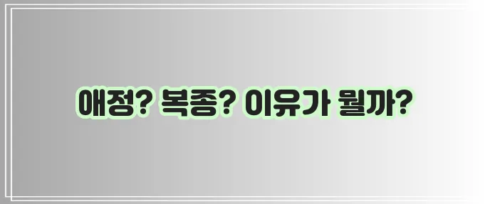 강아지가 주인 손을 핥는 이유를 알아봅시다!