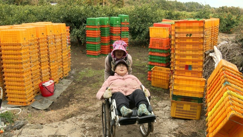 KBS 인간극장 "무쇠팔 우리 엄마" 심층분석 보고서