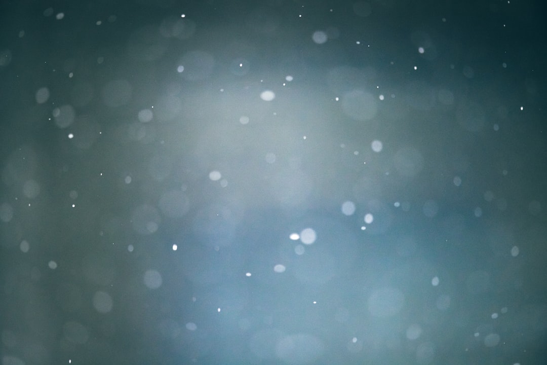 Rainy day