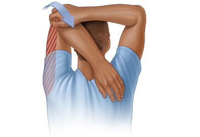 어깨와 삼두근 스트레칭