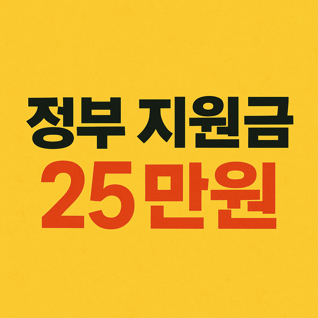 정부 지원금 25만원