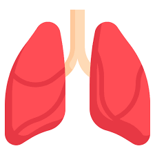폐에 물이 차는 원인