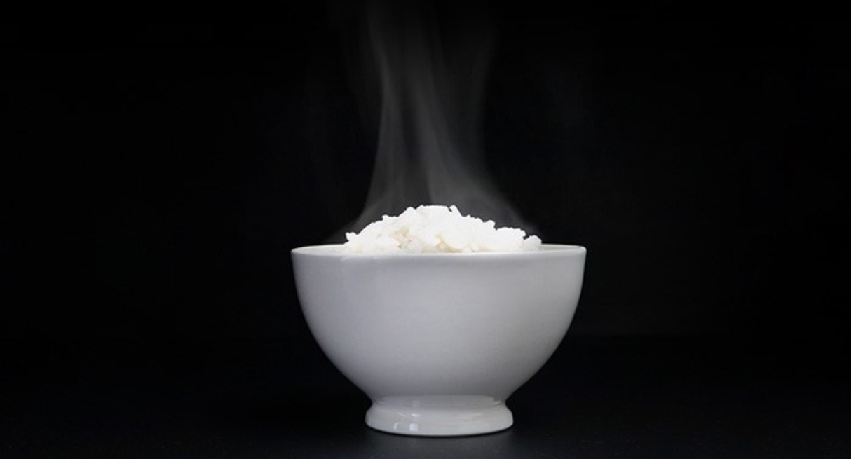 용량별 쿠쿠압력밥솥 추천