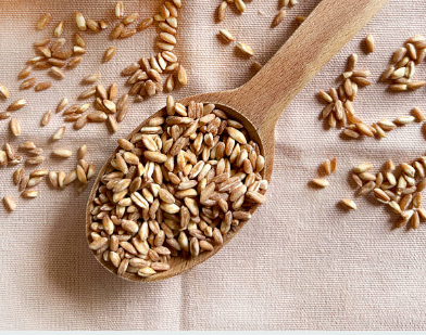 농식품바우처 신청방법 한 번에 끝내기 &amp;#124; 자격&middot;서류&middot;신청&middot;사용처 완벽 가이드