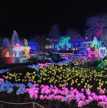 포항국제불빛축제