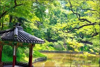 창경궁 예약 탐방 근처 맛집 10선_27