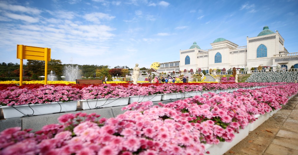 임실치즈테마파크사진