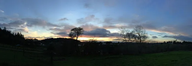 북서향 창문 식물 선택 저광량관리 물주기 식물등 세팅 가이드_8