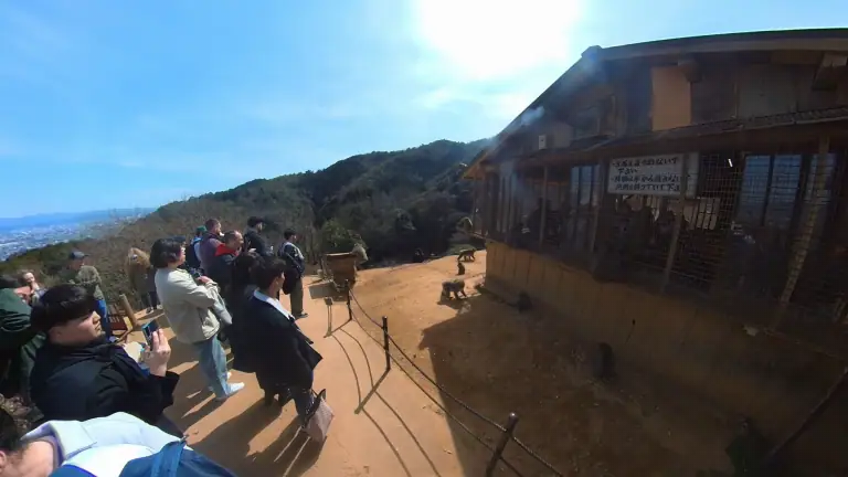 아라시야마 몽키파크