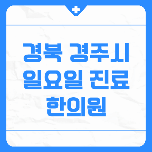 경북 경주시 일요일 진료 한의원