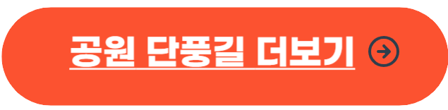 서울 단풍 명소