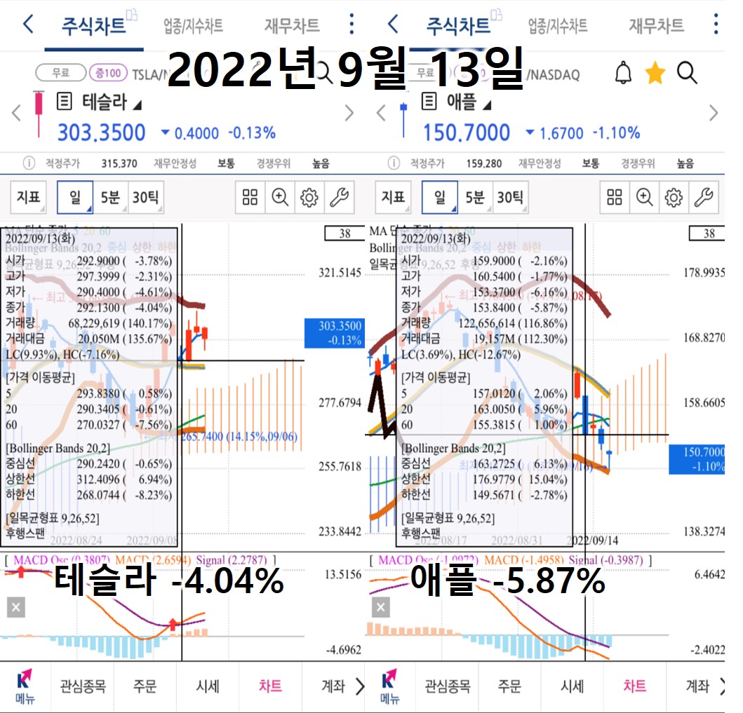 9월 13일 검은 화요일 테슬라, 애플