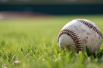 야구 공