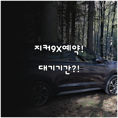 지커 9X 사전예약 일정 및 출고 대..