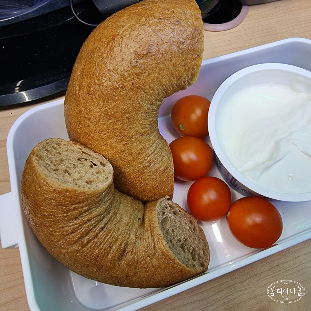 다이어트 식품 '통밀빵'의 숨겨진 진실