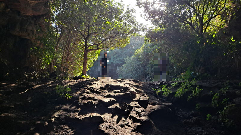 제주여행_성읍녹차마을_녹차동굴