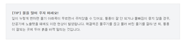 금전수 잎이 노랗게 변하는 이유와 해결책 정보