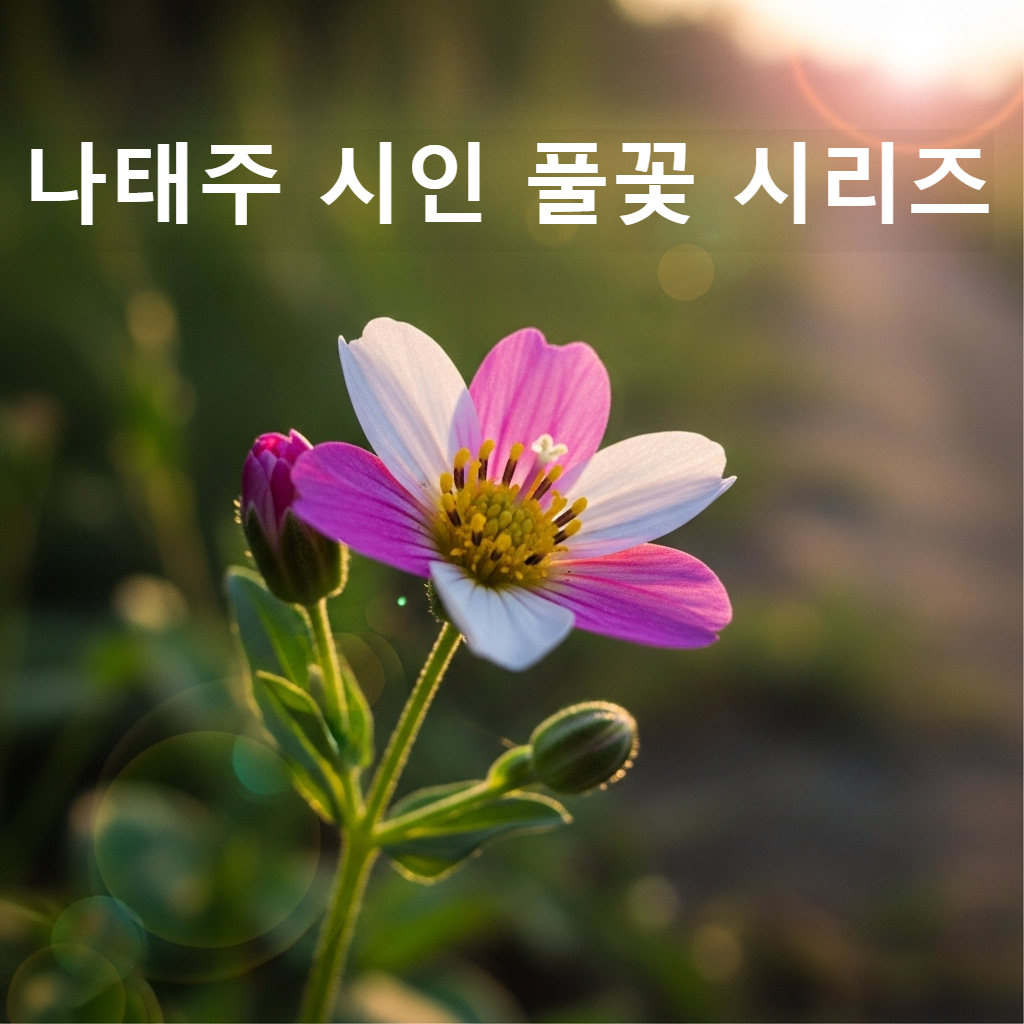 풀꼿 이미지