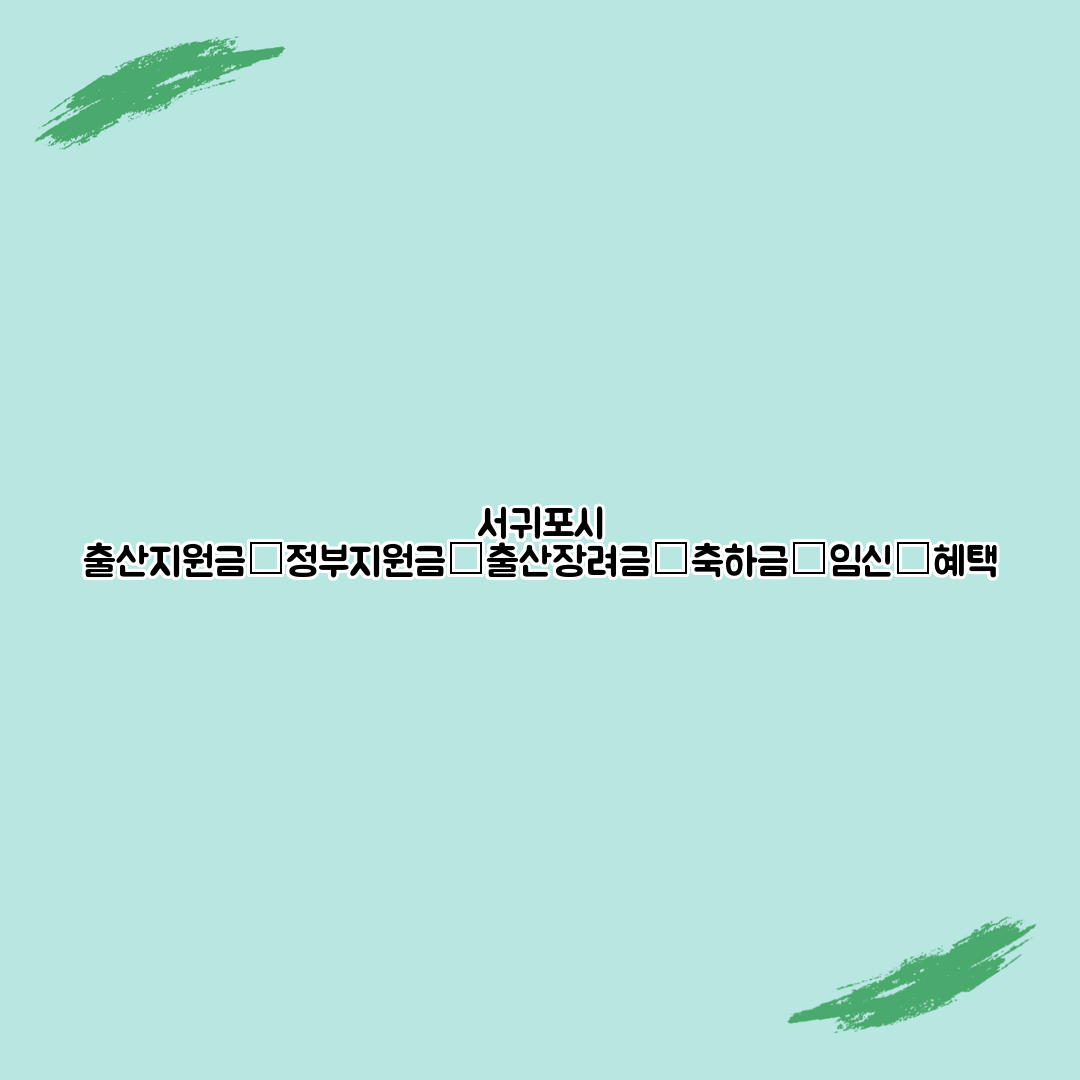 서귀포시 출산지원금│정부지원금│출산장려금│축하금│임신│혜택