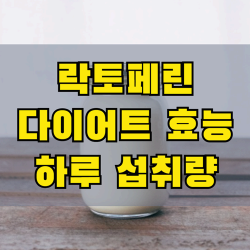 락토페린 효능 면역력부터 다이어트까지