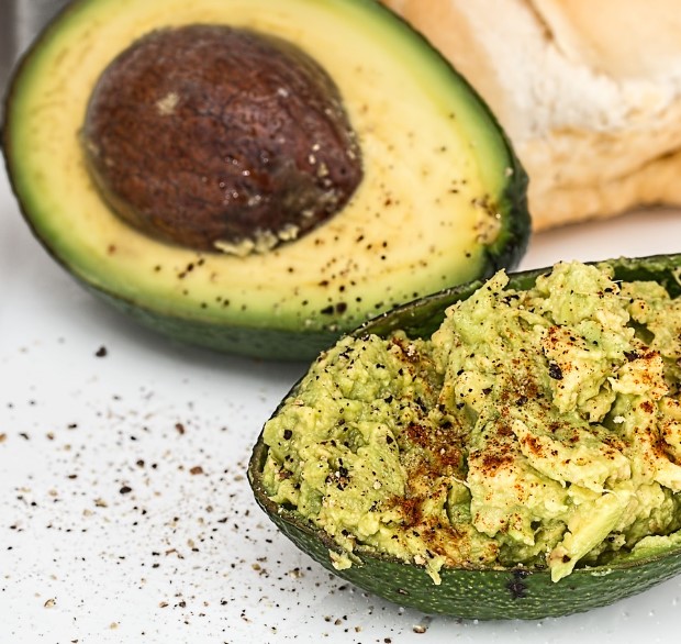 저탄수화물식단 추천식재료 아보카도