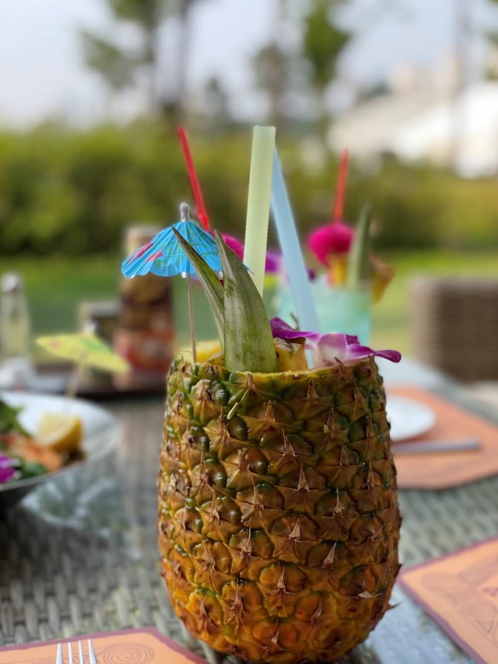 봉주르하와이-남국의-피나콜라다