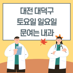 대전 대덕구 토요일 일요일 내과 진료 병원 리스트