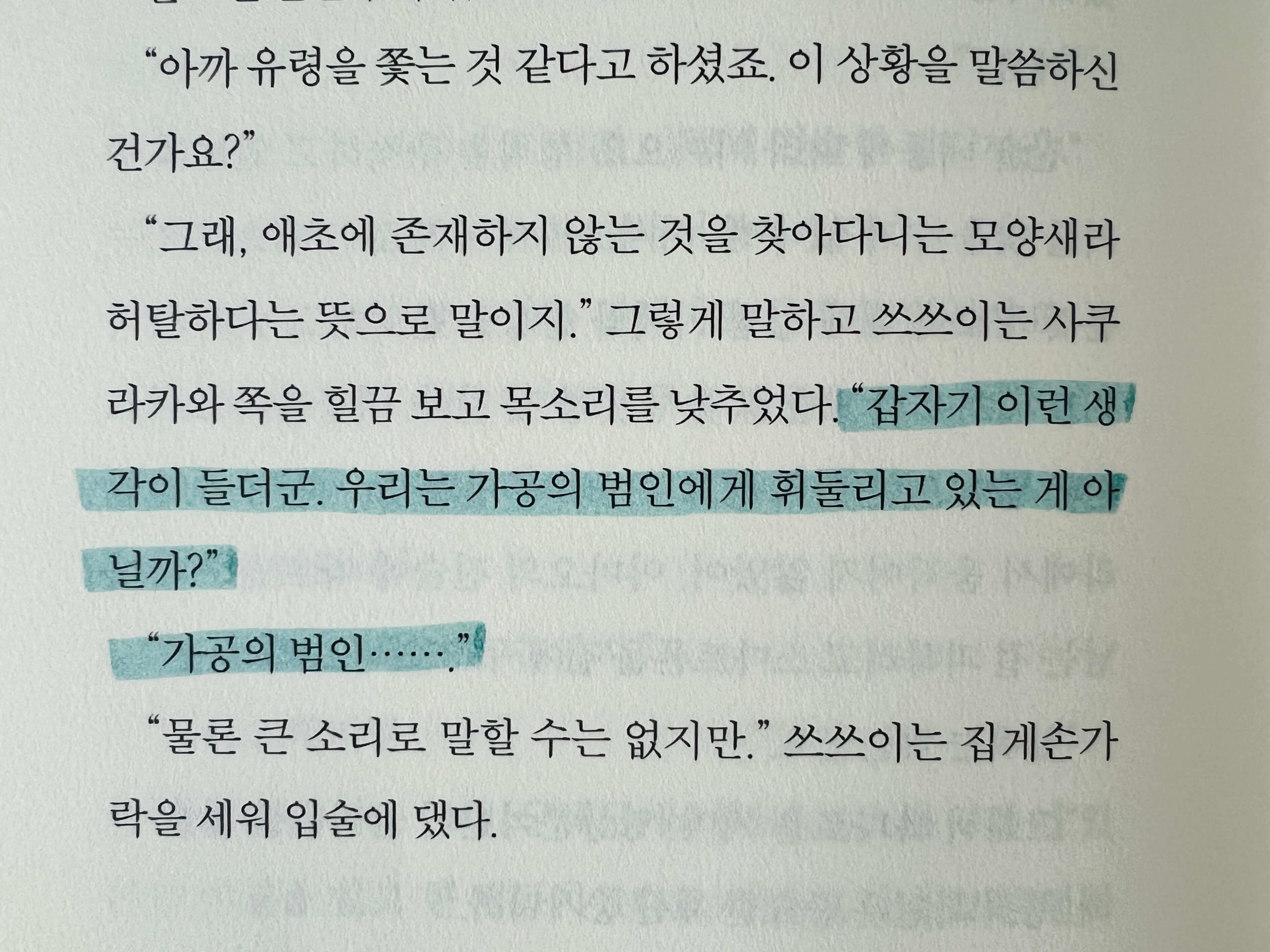 가공범의 의미에 대해 소설에서 알려주는 문장