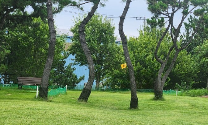 삼호파크골프장