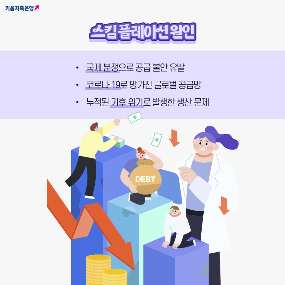 스킴플레이션의 원인