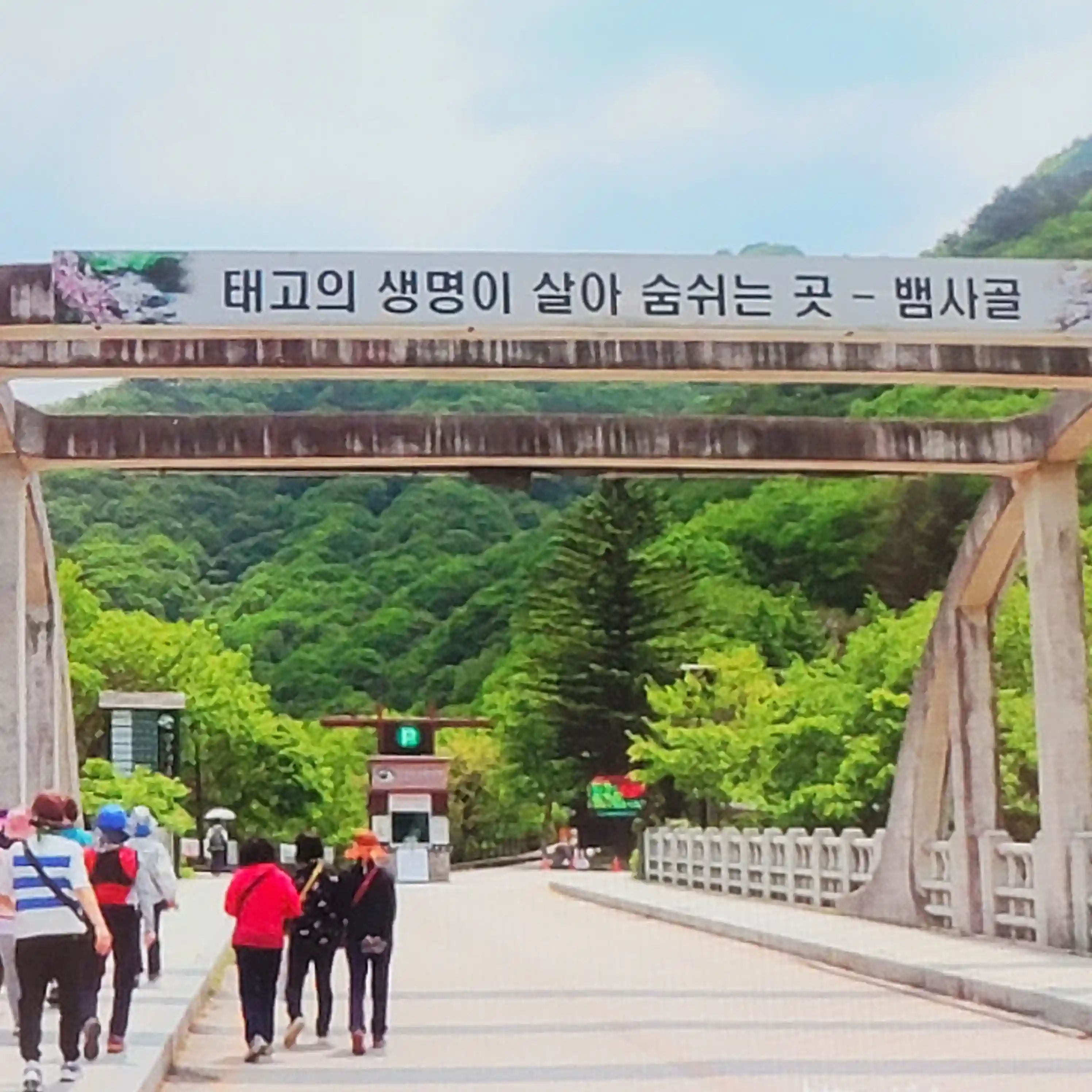 계곡 산행 좋은곳