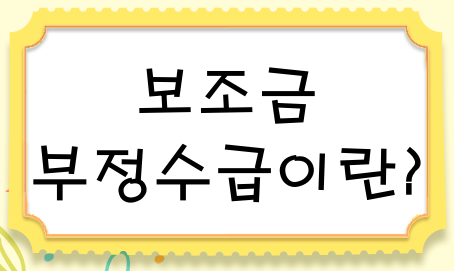 보조금 부정수급