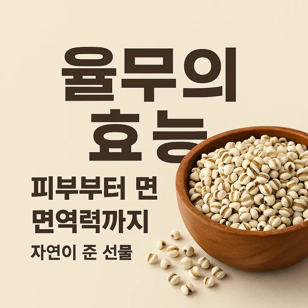 율무 효능