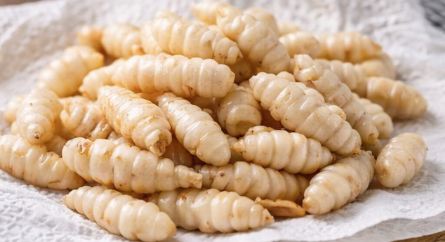 초석잠 효능 부작용 정리 및 먹는방법 (장아찌 1인분)