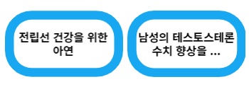 아연 효능