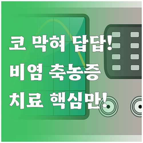 만성 코막힘 해소 비염 축농증 진단부..