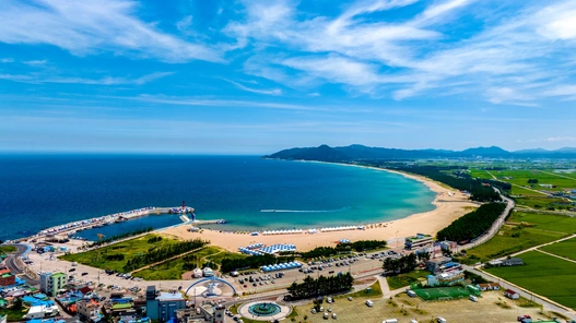 고래불해수욕장