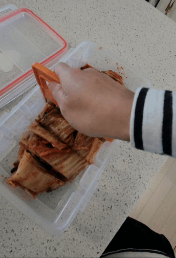 김치자르미사용중