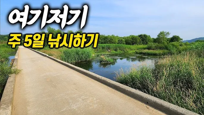 낚시 즐기기 좋은 충청도 저수지 포인트 찾아가는 길_3