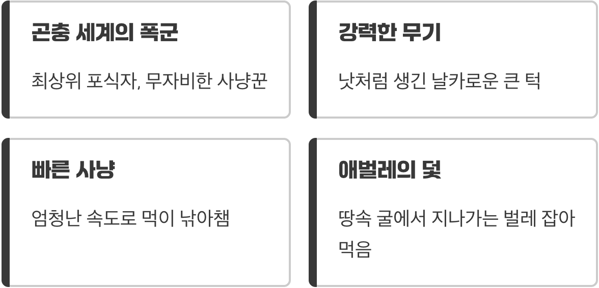 길 안내원의 무시무시한 반전 매력